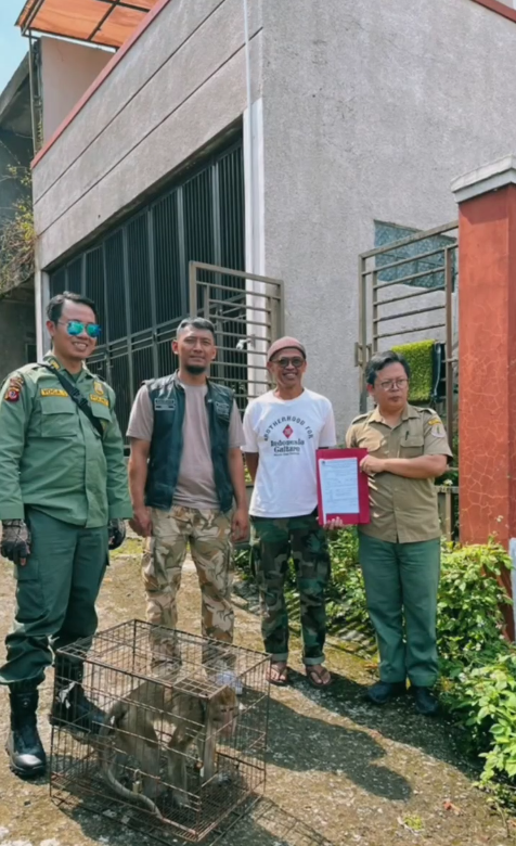 Selamatkan Satwa, Selamatkan Bumi: Aksi Kecil untuk Masa Depan Alam